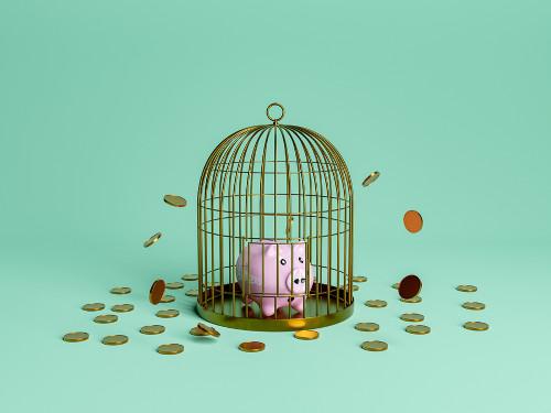 Piggy Bank Trapped in a Bird Cage